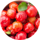 acerola cherry