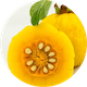 gamboge