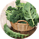 kale